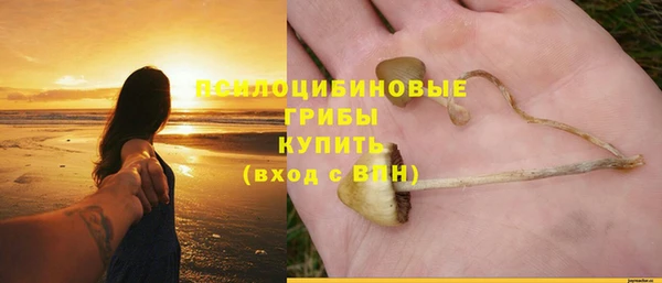 героин Алзамай