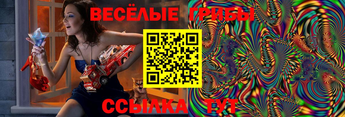 Донской  Галлюциногенные грибы Psilocybe  Вход с VPN 