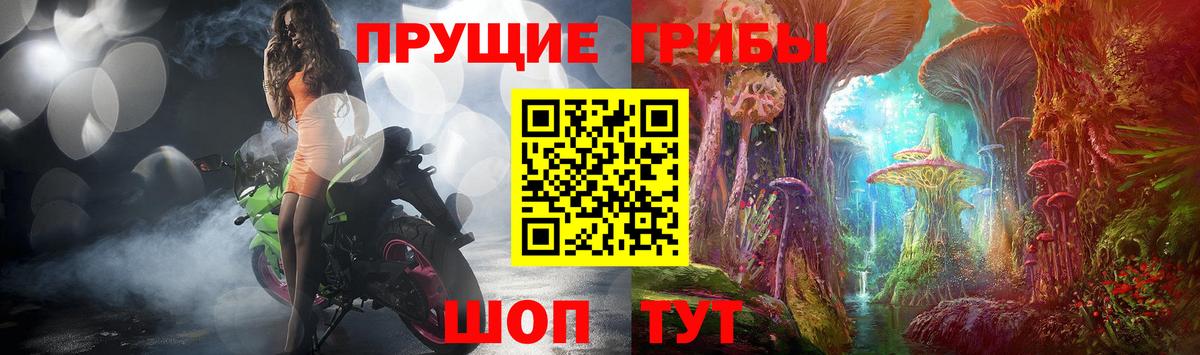 Галлюциногенные грибы мицелий Донской